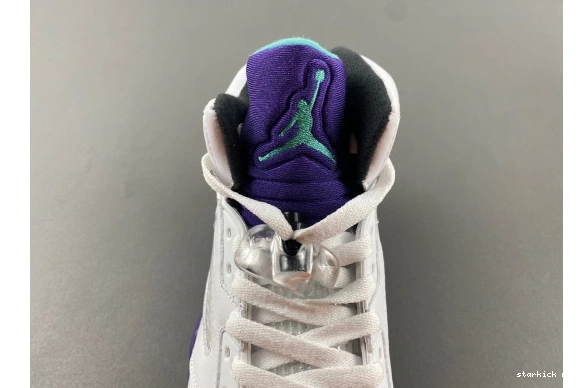 136027-108 5 Jordan Retro 136027-108 Grape 0417